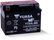 Yuasa YTX4L-BS Maintenance Free AGM 12-Volt Battery w/Bottle