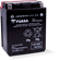 Yuasa YTX14AHL-BS High Performance AGM 12-Volt Battery w/Bottle