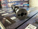 Texas Speed TSP "Chopacabra" NSR Truck Cam TSP-NSRCHOPacabra