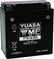 Yuasa YTX16-BS Maintenance Free AGM 12-Volt Battery w/Bottle