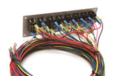 50003-Back.jpg