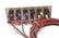 50005-Back.jpg