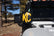 5102_Cover_Grill_Shield_4.jpg