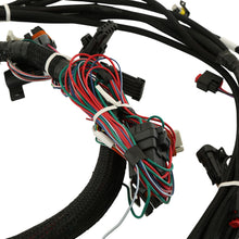 Load image into Gallery viewer, 550-619_03.jpg