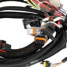 Load image into Gallery viewer, 550-628_03.jpg