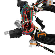 Load image into Gallery viewer, 550-628_04.jpg