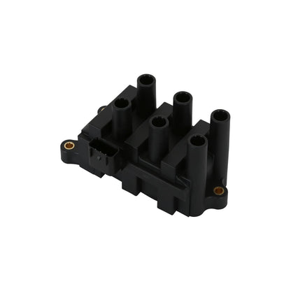 Street Fire Ignition Coil Pack, 2001-2004 Ford 6-Tower Dis Style, Black Stock Replacement Ford 6-Tower Coil MSD Ignition