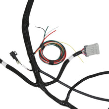Load image into Gallery viewer, 558-101_04.jpg