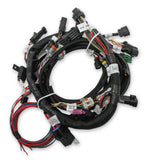 Holley EFI Ford Coyote Engine Main Harness w/ Ti-VCT and stock coils (2011-2017) 558-110
