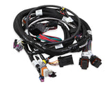 MAIN ENGINE HARNESS FOR 58X LS W/TBI 558-112