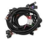 Holley EFI Coyote Ti-VCT Main Harness for Holley EFI HP smart coils (2011-2017) 558-122