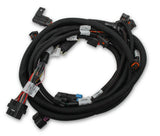 Coyote Ti-VCT Sub Harness for 2013-2017 Coyote Engines with Stock Camshafts 558-125