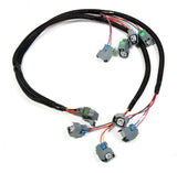 LSx Injector Harness for HP EFI, Dominator EFI and Terminator X. - 558-201