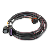 Terminator X MAX and Dominator EFI GM Drive-By-Wire Harness 558-406