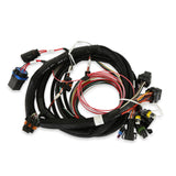 Replacement main wiring harness for Terminator EFI kits 550-405 and 550-406 558-414