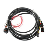 Holley EFI Chrysler HEMI Drive-By-Wire Dual Throttle Body Harness 558-450