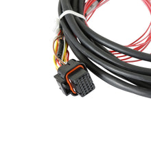 Load image into Gallery viewer, 558-450_03.jpg