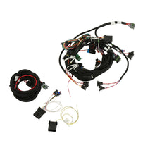 Load image into Gallery viewer, 558-503_02.jpg