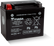 Yuasa YTX12 Maintenance Free AGM 12-Volt Battery