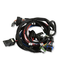 Load image into Gallery viewer, 565-304k_08.jpg