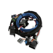 Load image into Gallery viewer, 565-305k_09.jpg