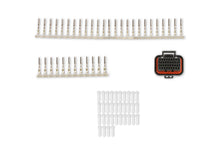 Load image into Gallery viewer, 570-345_01.jpg