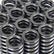 Skunk2 Alpha Series Honda D Series VTEC Valve Spring Set