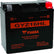 Yuasa GYZ16HL High Performance Maintenance Free AGM 12-Volt Battery
