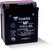 Yuasa YTX7L-BS Maintenance Free AGM 12-Volt Battery w/Bottle