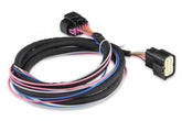 MSD LS Ignition Control Black 24X/1X And 58X/4X Crank/Cam LS Configurations MSD Ignition