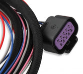 MSD Dis Direct Ignition System Control Box Black Gm/Ford/Dodge V8 Using MSD Dual Sync Distributor MSD Ignition