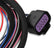 MSD Dis Direct Ignition System Control Box Black Gm/Ford/Dodge V8 Using MSD Dual Sync Distributor MSD Ignition