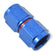 640010_v3.jpg