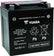 Yuasa YIX30L-BS High Performance Maintenance Free AGM 12-Volt Battery w/Bottle
