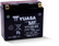 Yuasa YT12B-BS Maintenance Free 12-Volt AGM Battery w/Bottle