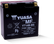 Yuasa YT14B-BS Maintenance Free 12-Volt AGM Battery w/Bottle