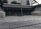 Photo - Close Up