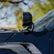 7337_Brackets_Mounts_12.jpg