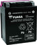 Yuasa YTX14AHL-BS High Performance AGM 12-Volt Battery w/Bottle