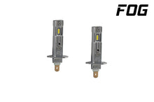 Load image into Gallery viewer, User 1