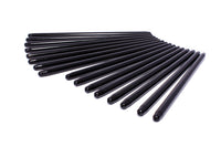 7954-16.jpg