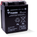 Yuasa YTX14AH-BS High Performance AGM 12-Volt Battery w/Bottle