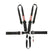 RaceQuip 5 Point Harness - Small Buckle Ratcheting Latch & Link - HNR shoulders 815005RQP