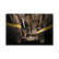 Outlaw Cat-Back Exhaust System Fits 1988-1993 GM 1500/2500 Ld Trucks With 5.7-Liter, Dual Rear/Side Exit, Stainless Steel Exhaust System Flowmaster