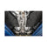 Scavenger Y-Pipe Kit Fits 2024-2026 Ford Mustang 2.3-Liter Ecoboost Engines, Stainless Steel Scavenger Y-Pipe Flowmaster