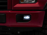 Photo - Close Up