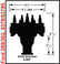 Ford 289 / 302 Crank Trigger Distributor Distributor Designed For Race Applications Using MSD Crank Trigger Systems MSD Ignition