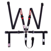 RaceQuip Camlock 5 Point Harness Set 841001RQP
