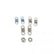 Bushing & Spring Set MSD Distributor The Kit Contains An Assortment Of Springs And Advance Limit Bushings MSD Ignition