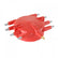 Crab Style Distributor Cap These Caps Are Injection Molded From Dupont Rynite Material And Feature Spark Plug-Style Terminals MSD Ignition